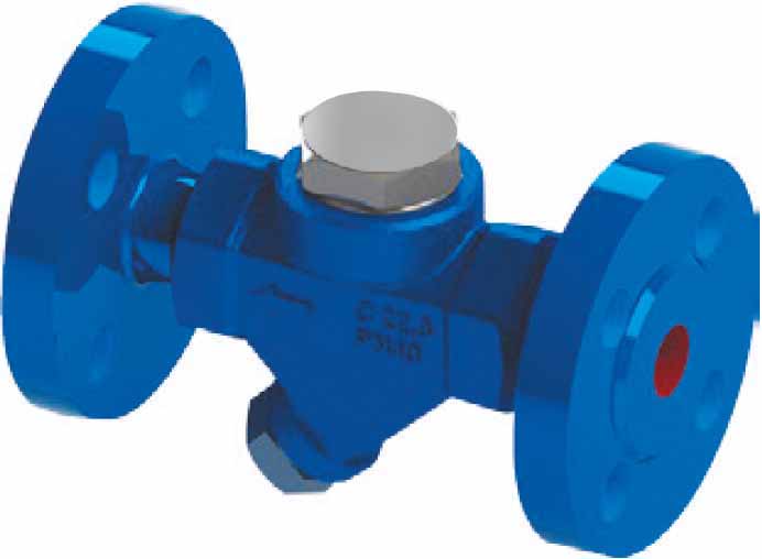 Steam Trap